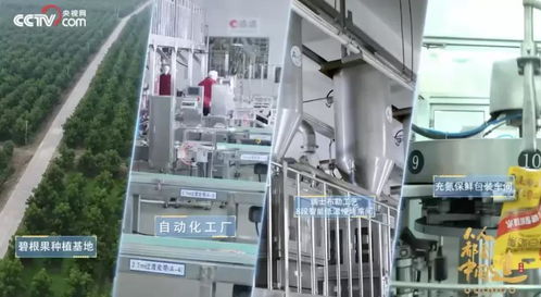 從被低估的沃土到世界之巔 一座中國(guó)城市的堅(jiān)果巨頭與教育軟件技術(shù)開(kāi)發(fā)傳奇