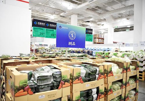 圳品引領深圳食品業做大做強，教育軟件技術開發如何賦能新賽道